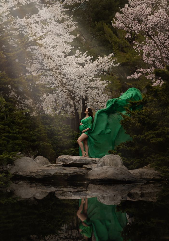 Photograph by Karen DLucca