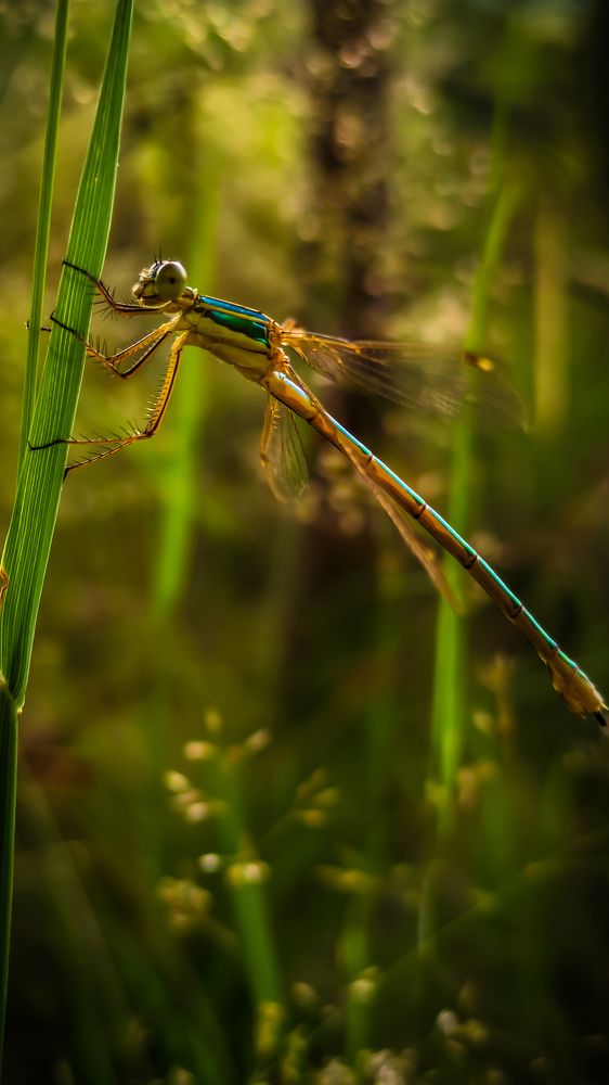 Photograph by Денис Грамович