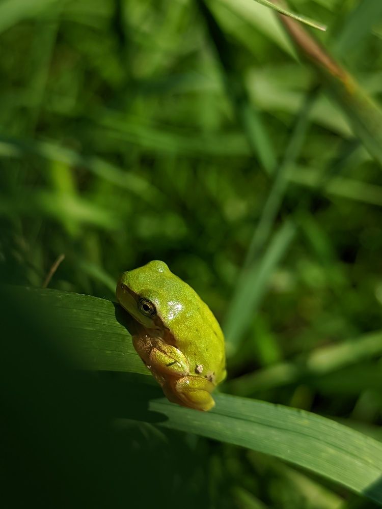 Фотография автора CIX Empire