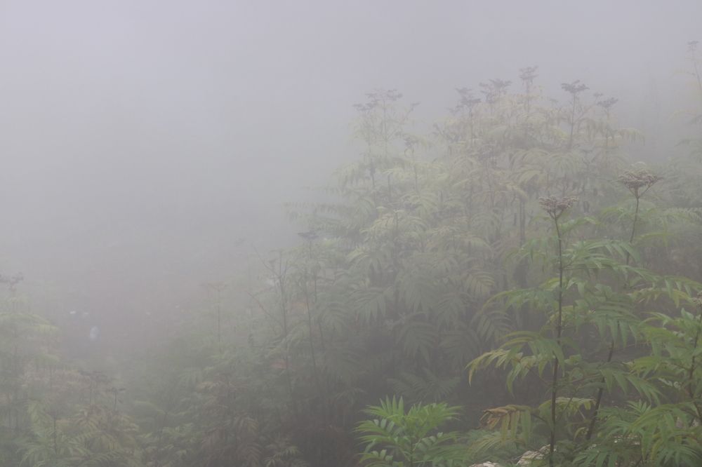 Photograph by Babak Akvan