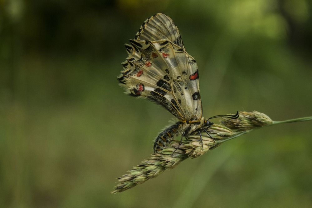 Photograph by iliya levkov