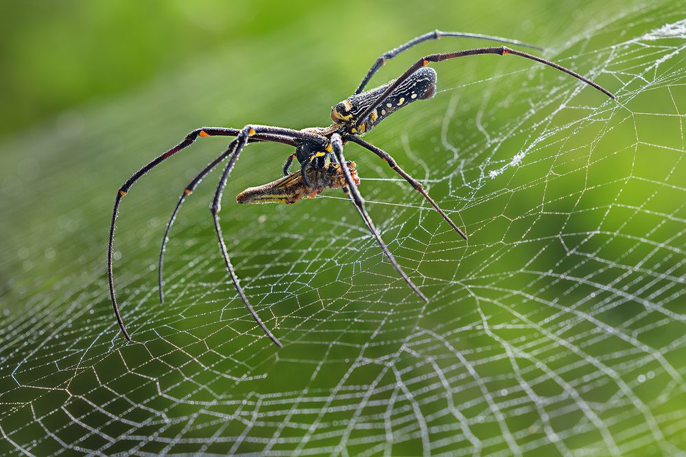 Photograph by VOON WAH WONG