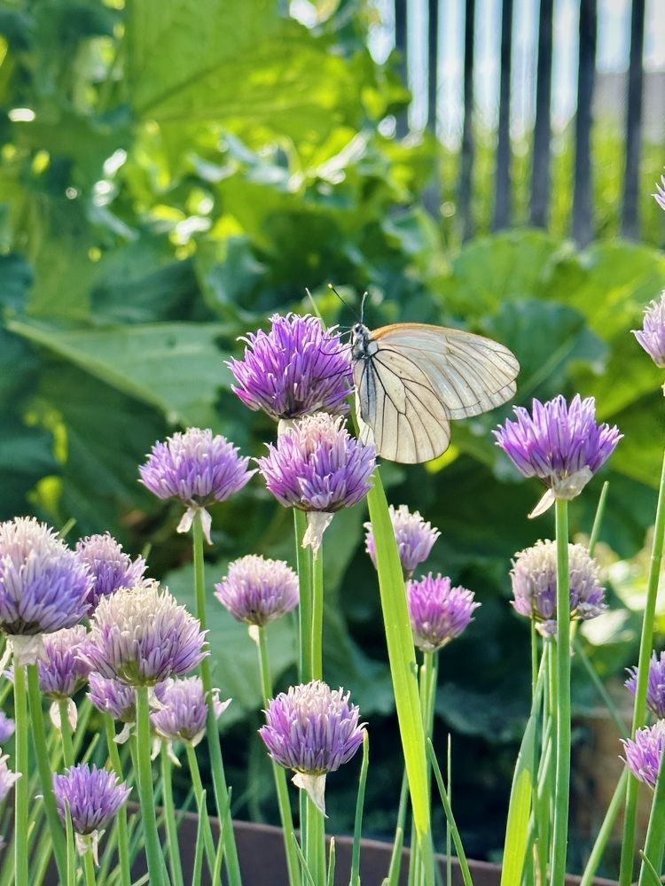 Photograph by Лазарева Анна Игоревна