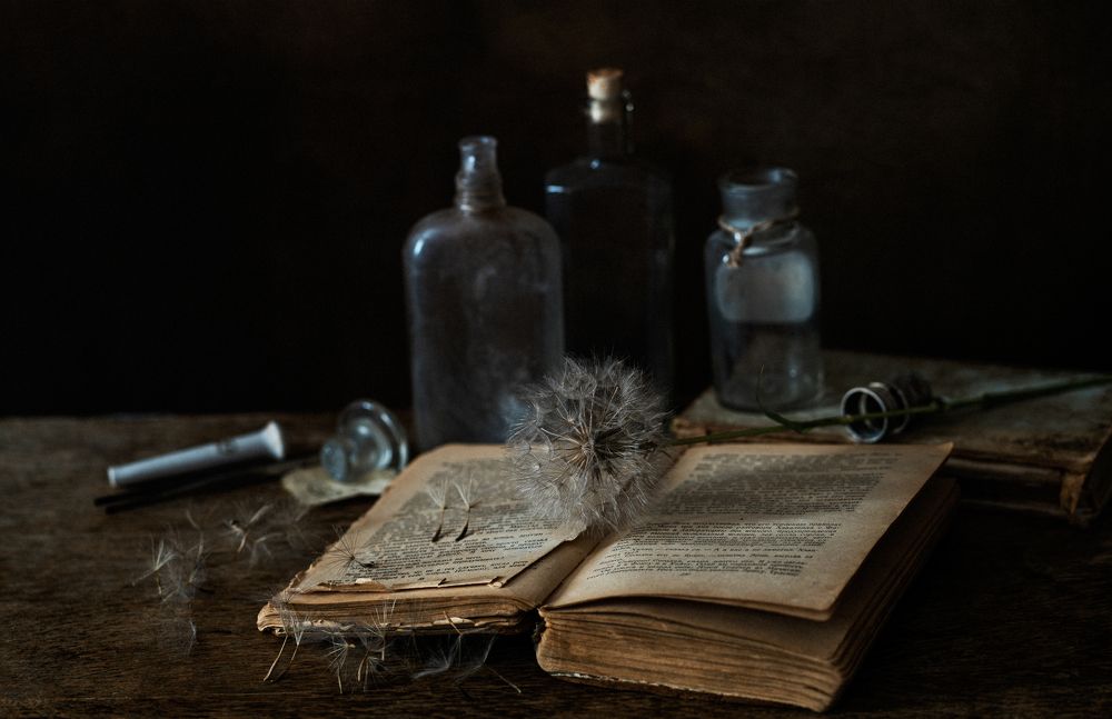 Photograph by Jelena Murina