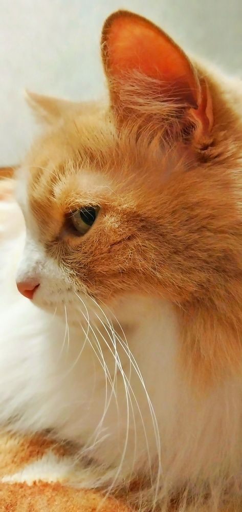 Photograph by Анастасия Липаткина