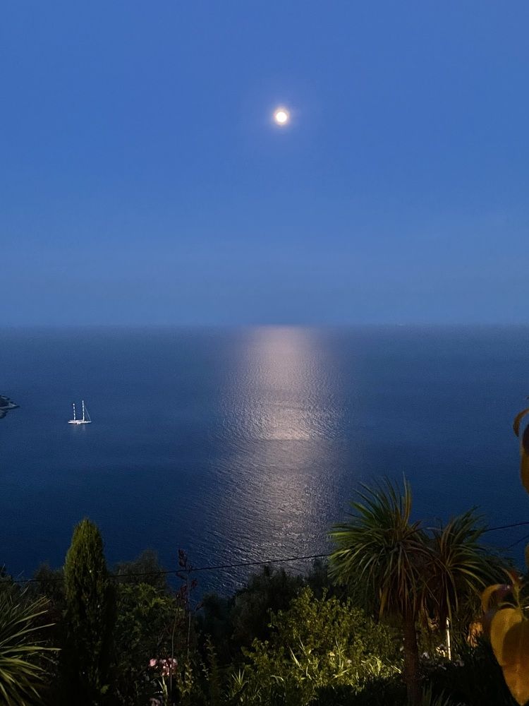 Photograph by Ольга Зорькина