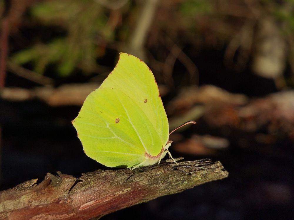 Photograph by Юлия