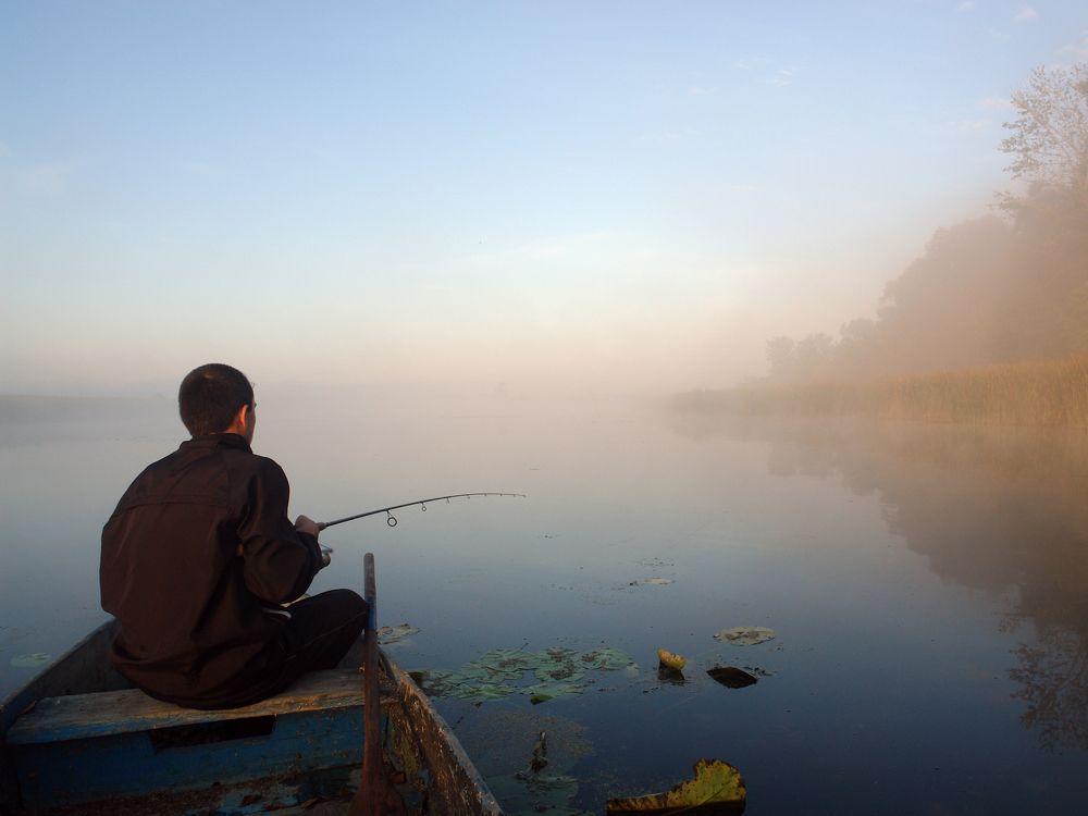 Photograph by Игорь Шевердин