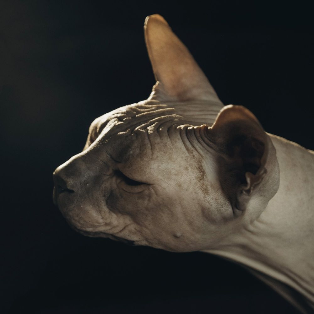 Photograph by Larissa Krasavina