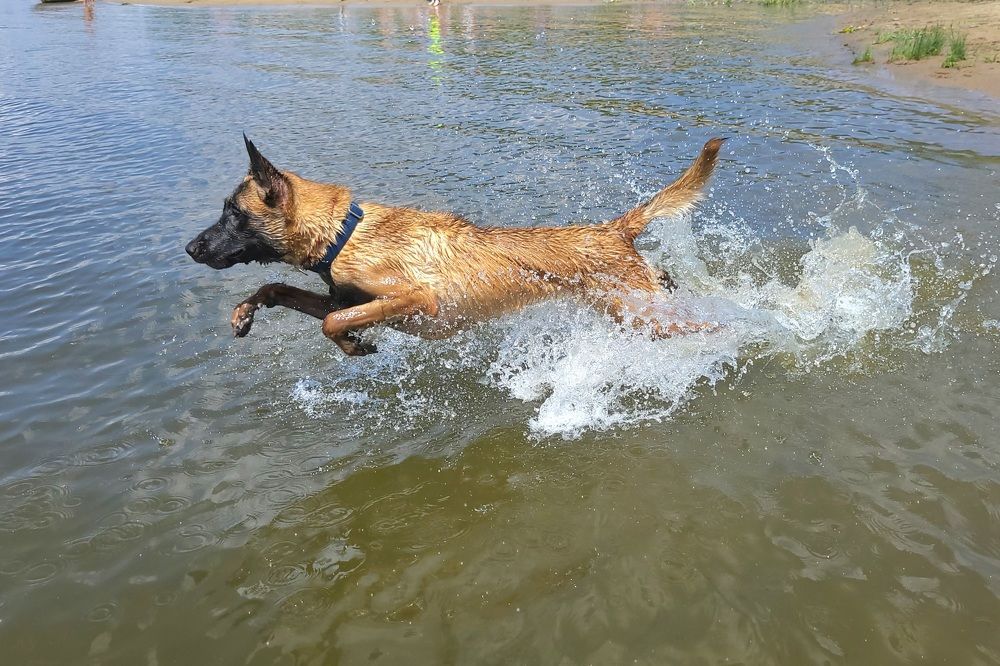 Фотография автора Анна Яковенко