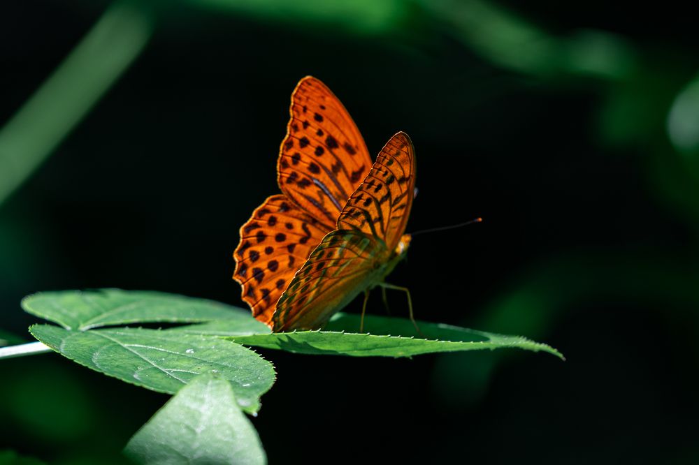 Photograph by Иван Новиков