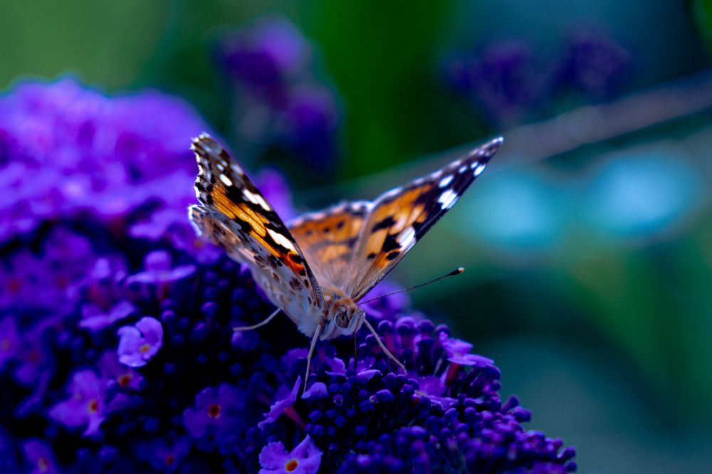 Photograph by Иван Новиков