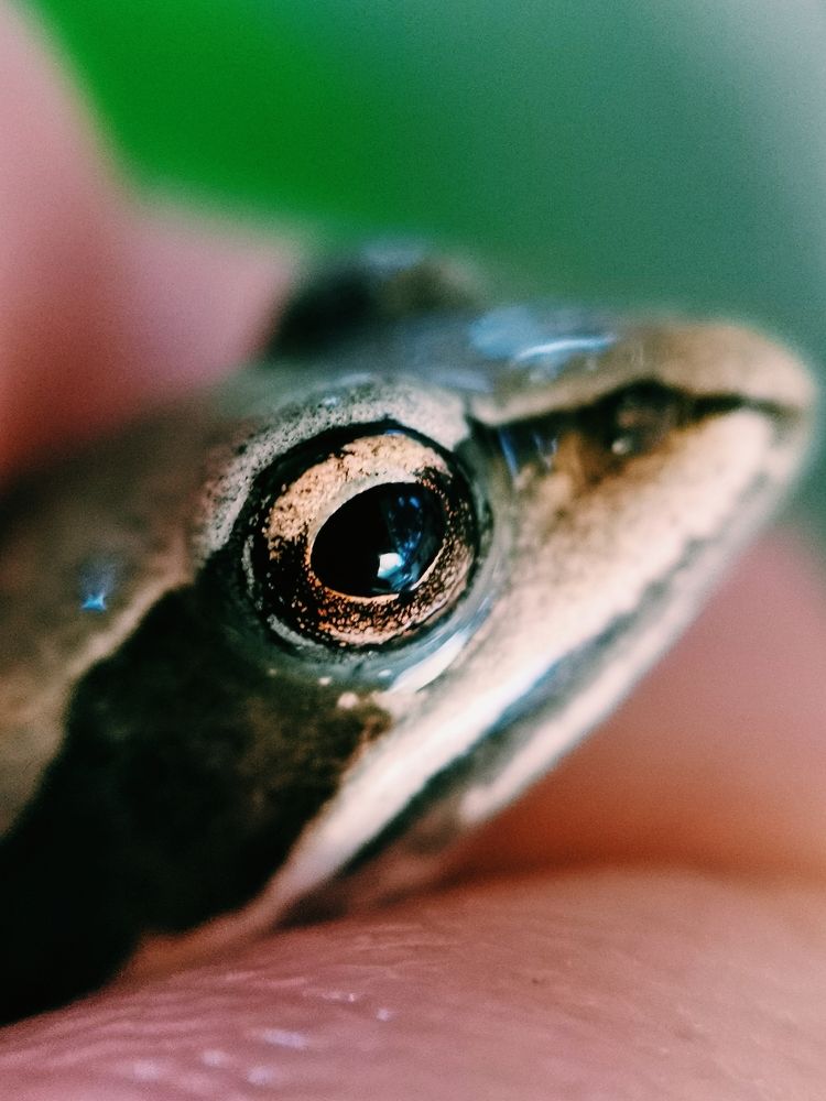 Photograph by Ольга Мажарук