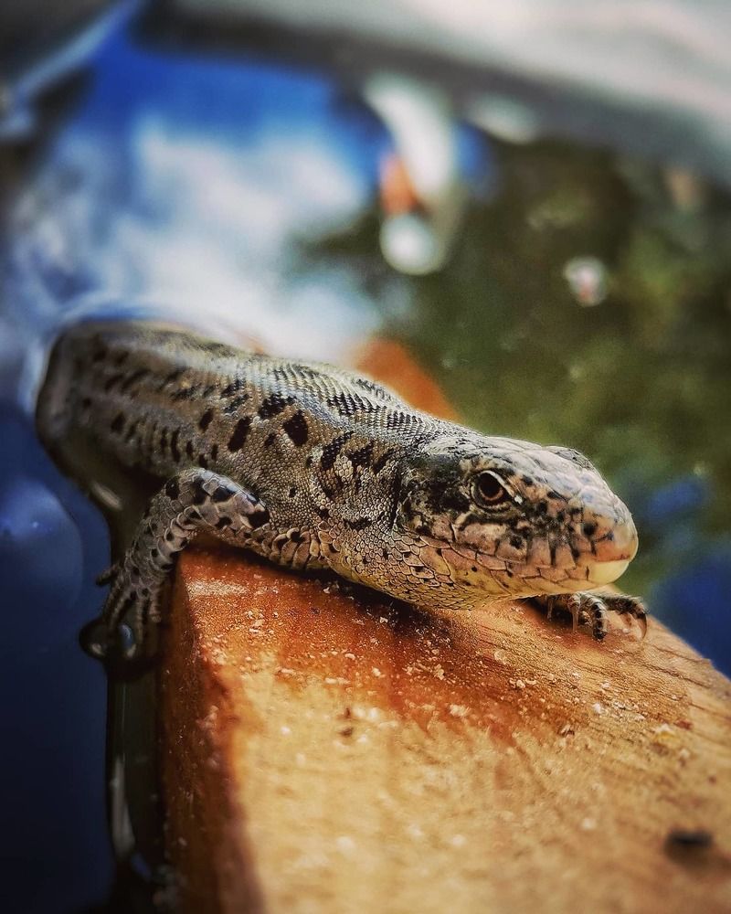 Photograph by Ольга Мажарук