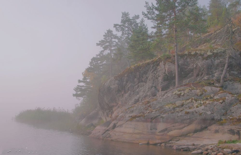 Photograph by Tatyana Markova