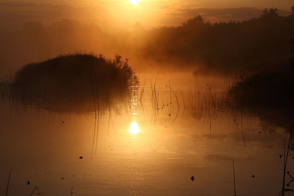 Photograph by Алексей Дудинский