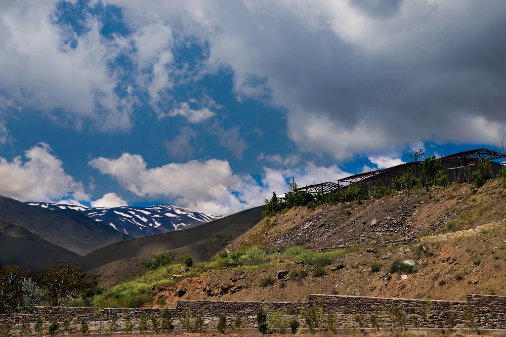 Фотография автора hanieh seyffard