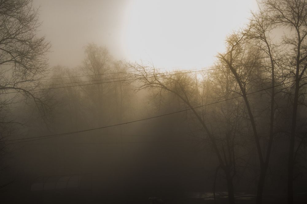 Photograph by Александр Петров