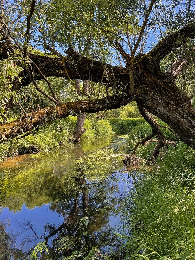Photograph by Наталья Сергеевна