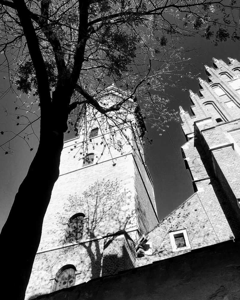 Photograph by Kamila Stasiak