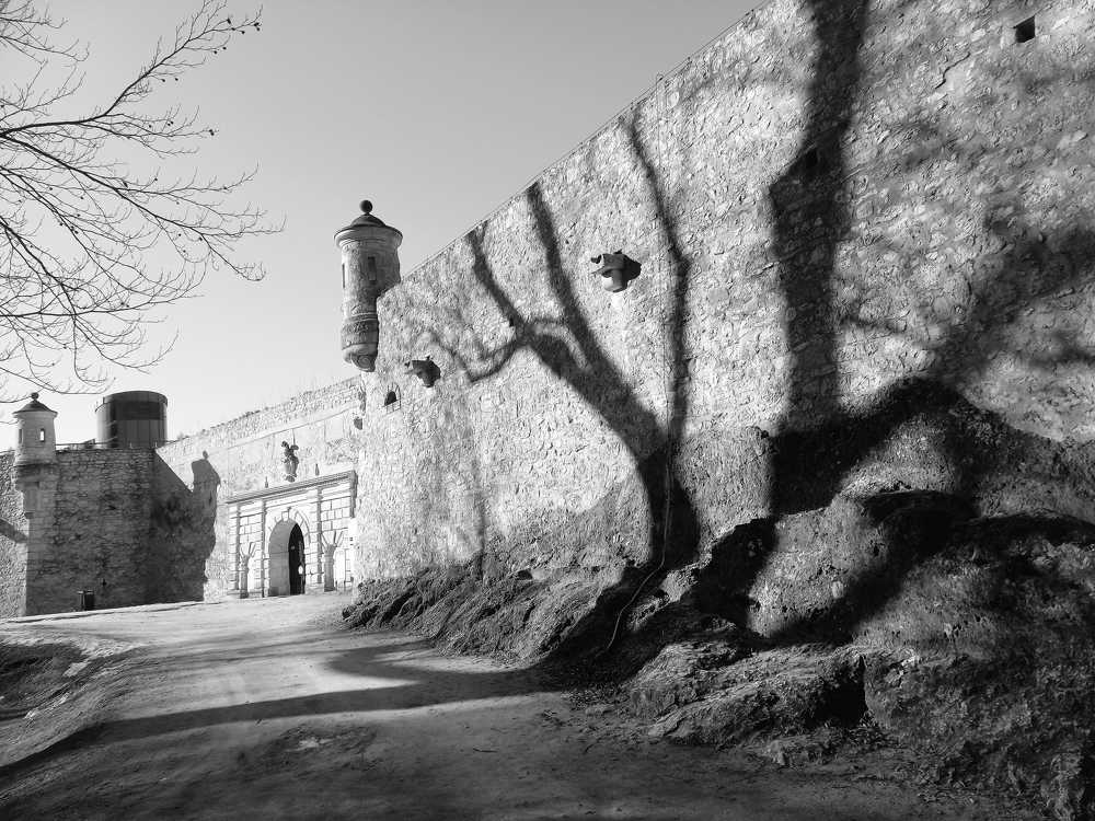 Photograph by Kamila Stasiak