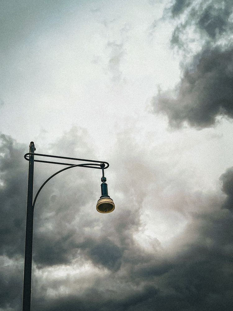 Photograph by Julia Guest