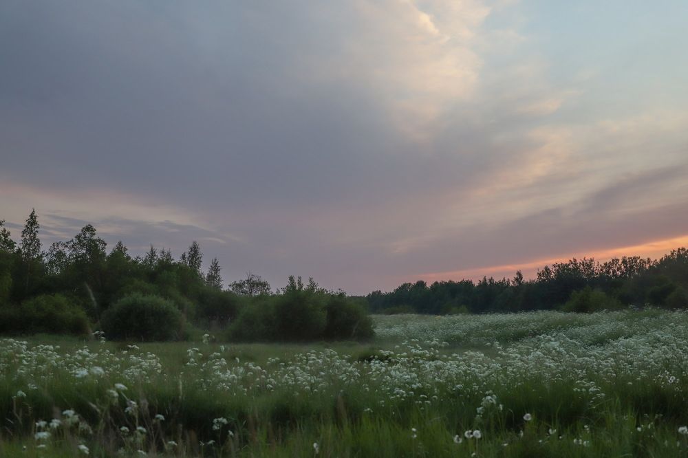 Photograph by Юлия Яковлева