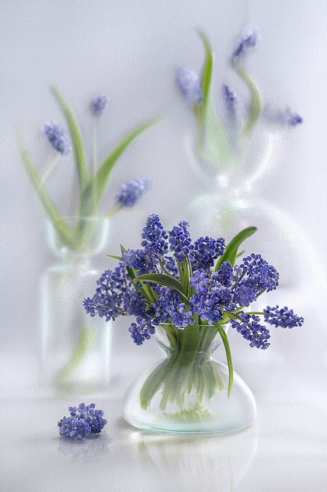 Spring dreams/Весенние сны