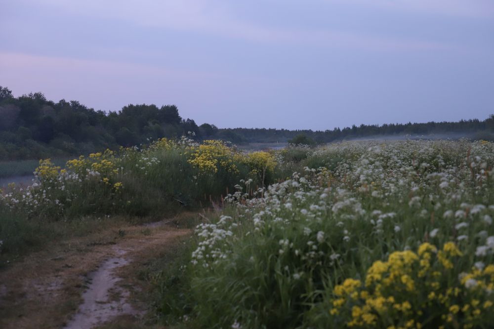 Photograph by Юлия Яковлева