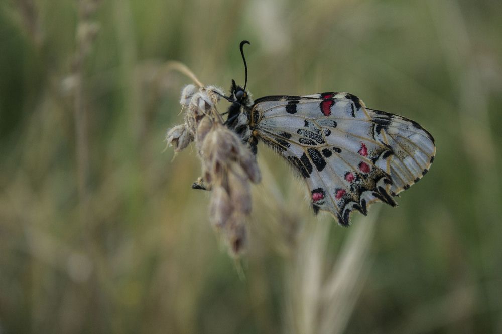 Photograph by iliya levkov