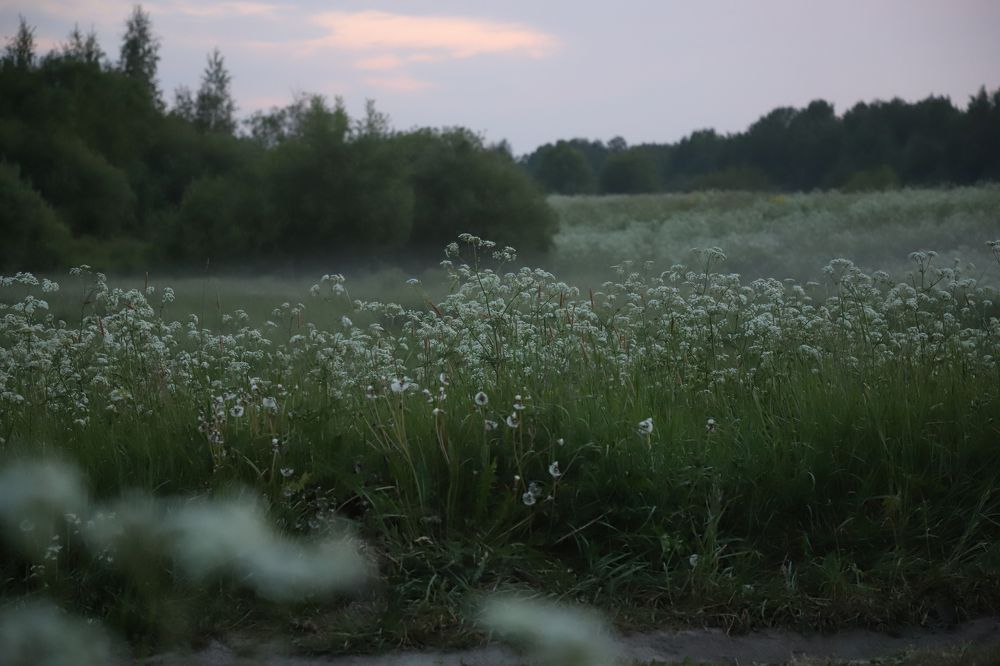 Photograph by Юлия Яковлева