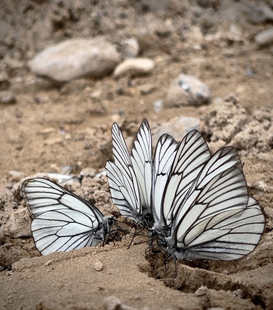 Photograph by Елена Красильникова