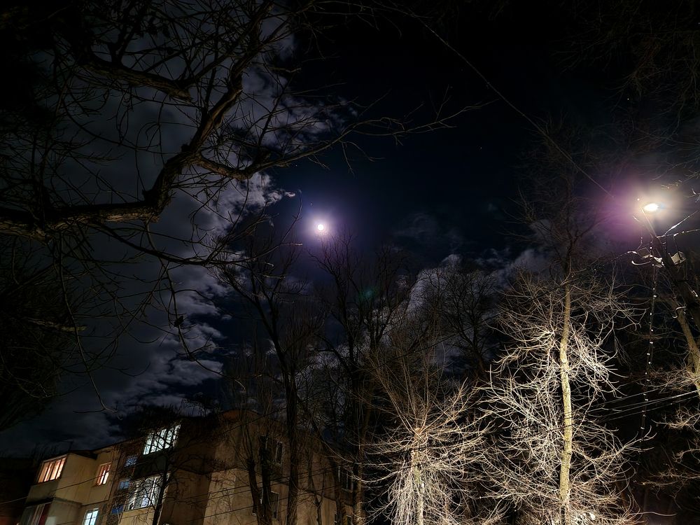 Photograph by Inessa Botasheva