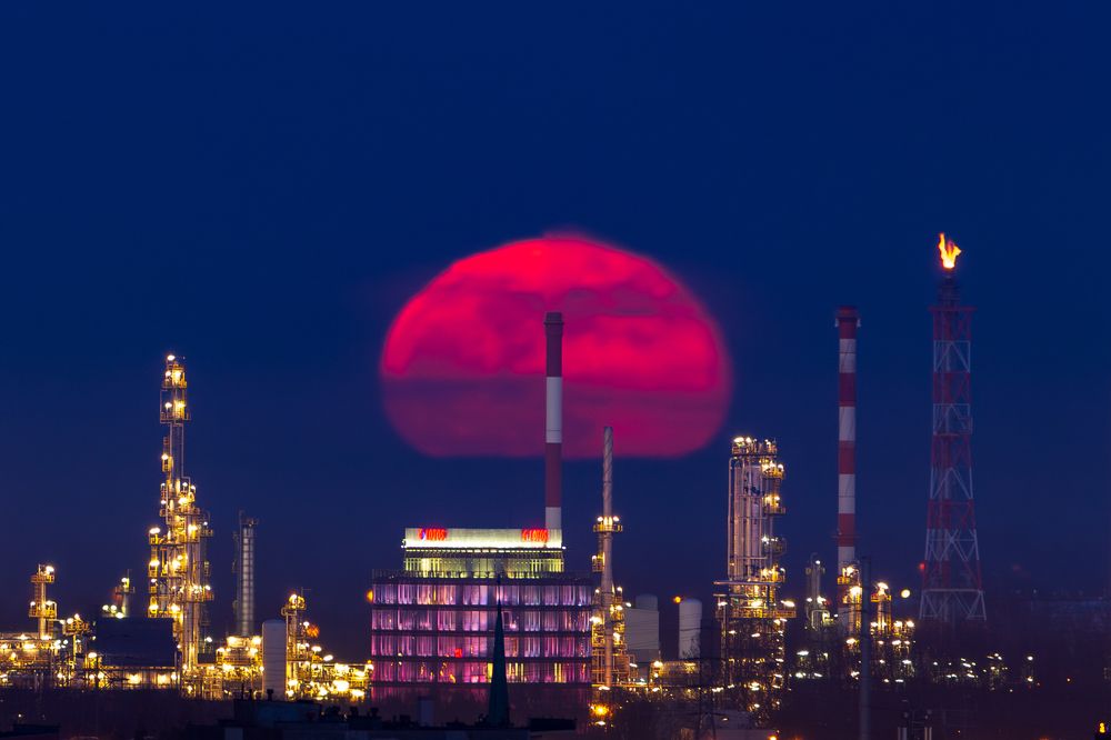 Фотография автора Michal Olech