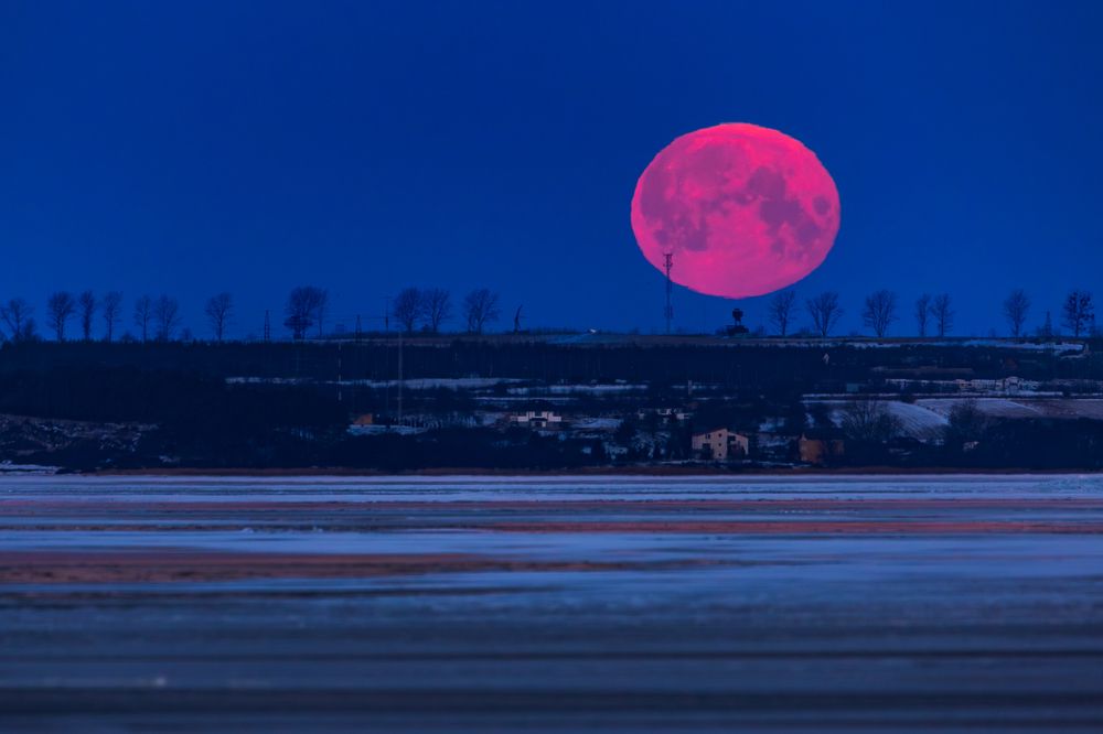 Фотография автора Michal Olech