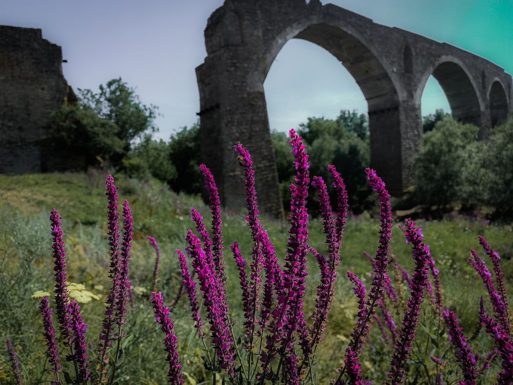 Photograph by Kati Oili