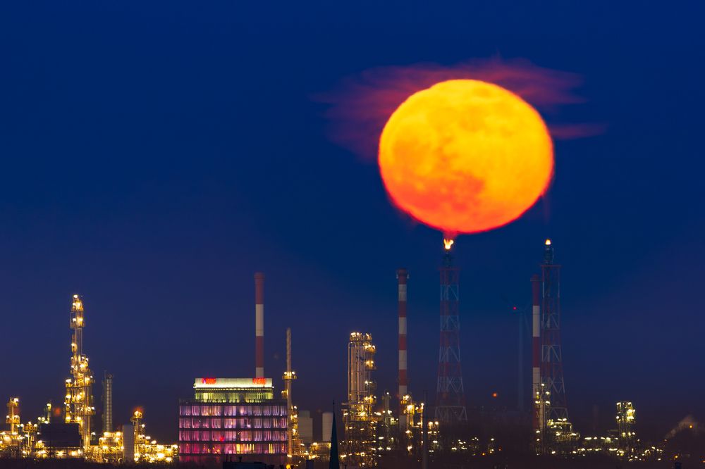 Фотография автора Michal Olech