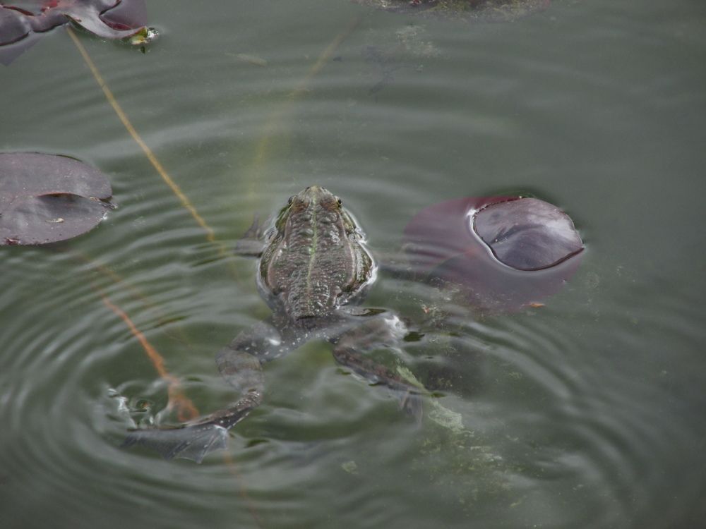 Photo #9260131