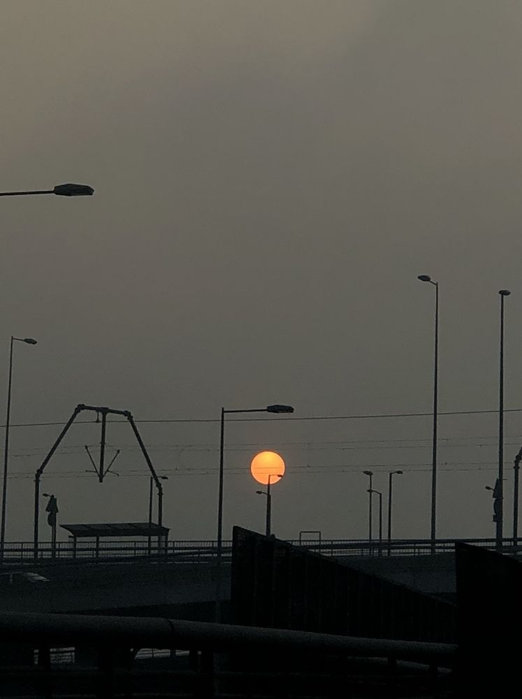 Photograph by Теодора Милекич