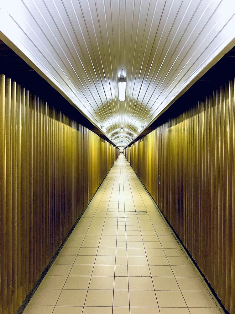 Photograph by Теодора Милекич