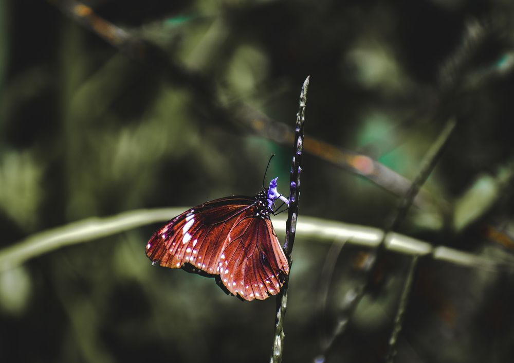 Photograph by Yannah Tekwie