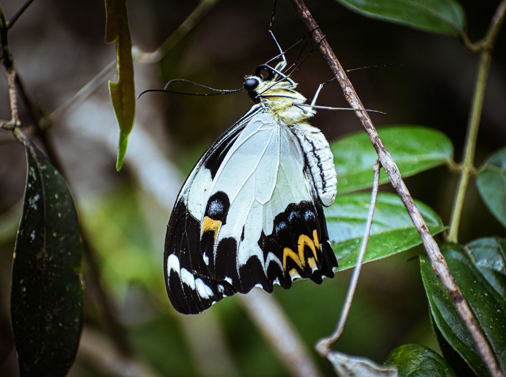 Photograph by Yannah Tekwie