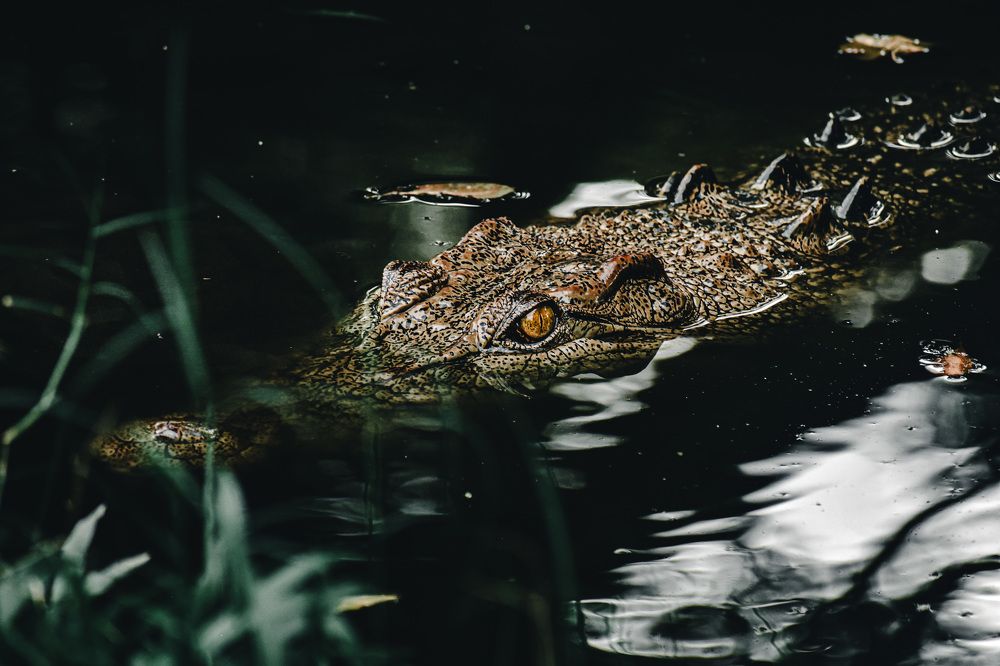 Photograph by Yannah Tekwie