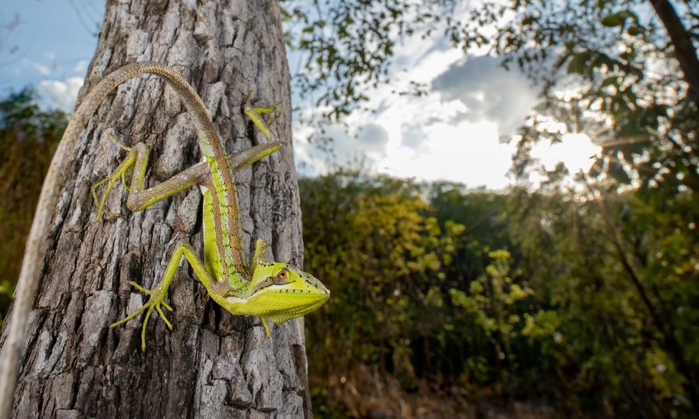 Photograph by Omar Torres
