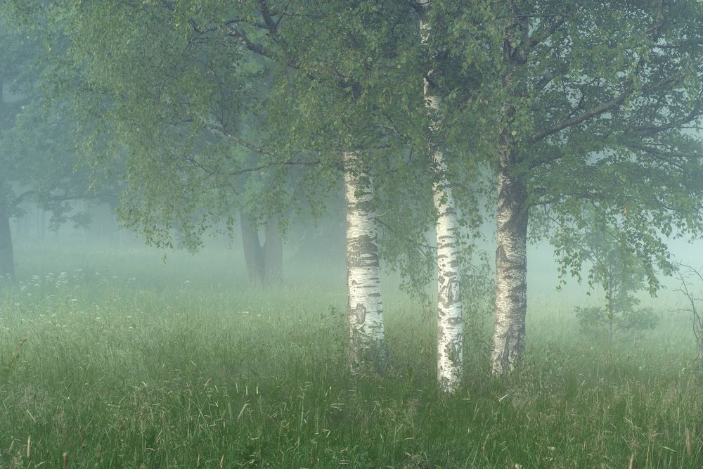 Photograph by Максим Вышарь