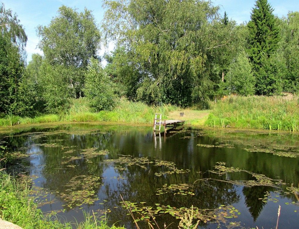 Photograph by Михаил Попов