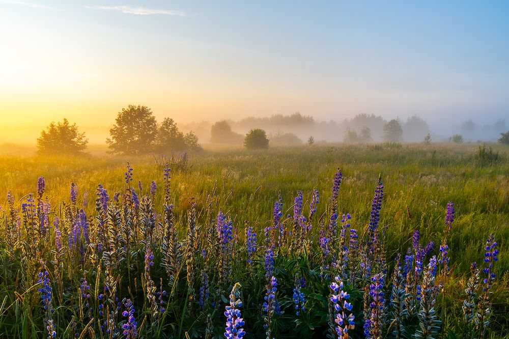 Photograph by Михаил Добродий