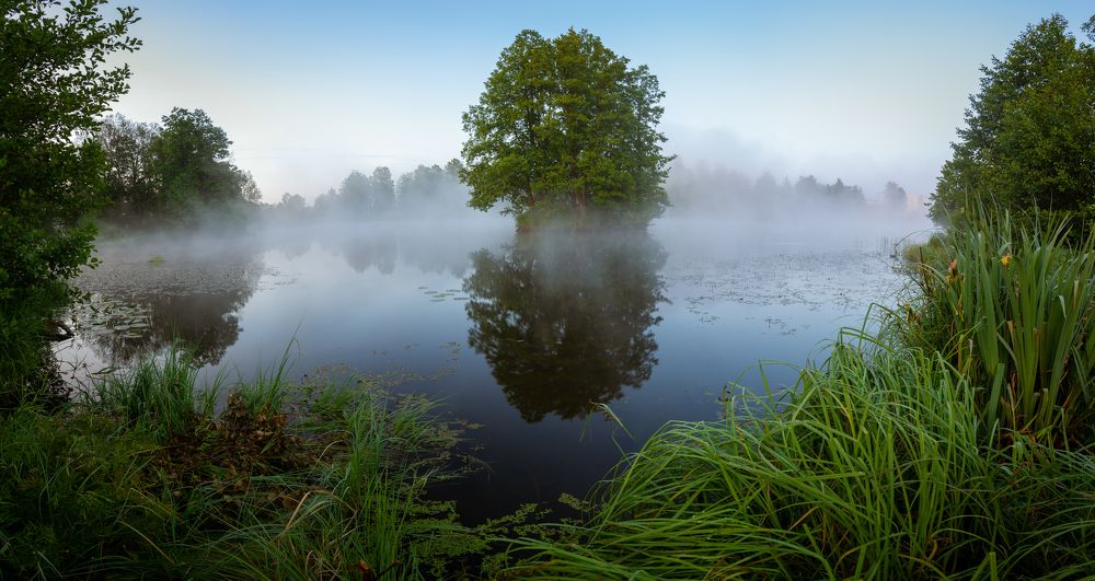 Photograph by Николай Колобов
