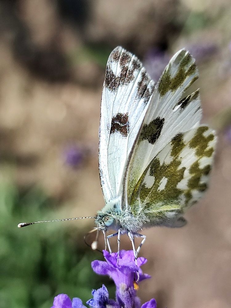 Photograph by Olga Gorokhova