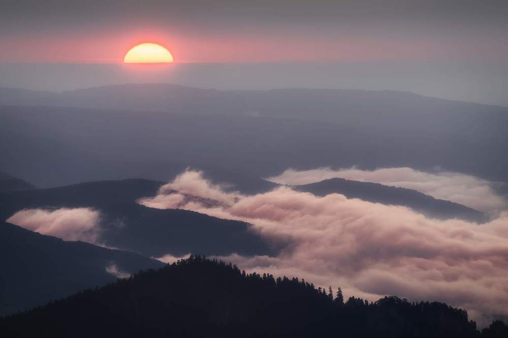 Photograph by Василий Яковлев